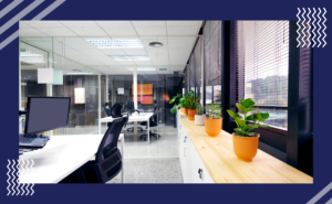 Best Office Interior Designer in Noida for a Fintech Startup With a Team of 30 to 100 People